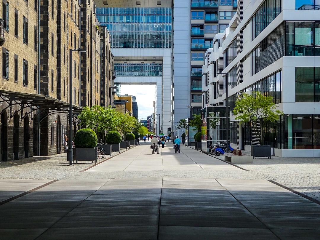 Sustainable business development process diagram